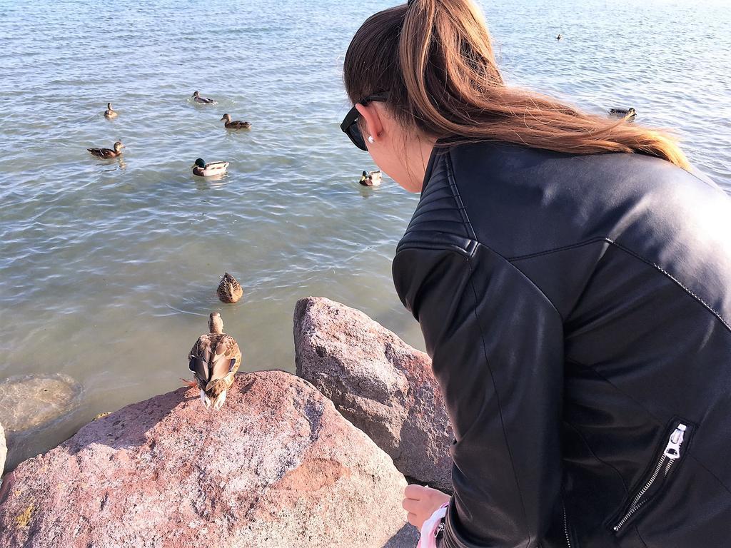 Tulipán Apartman Balatonalmádi Esterno foto